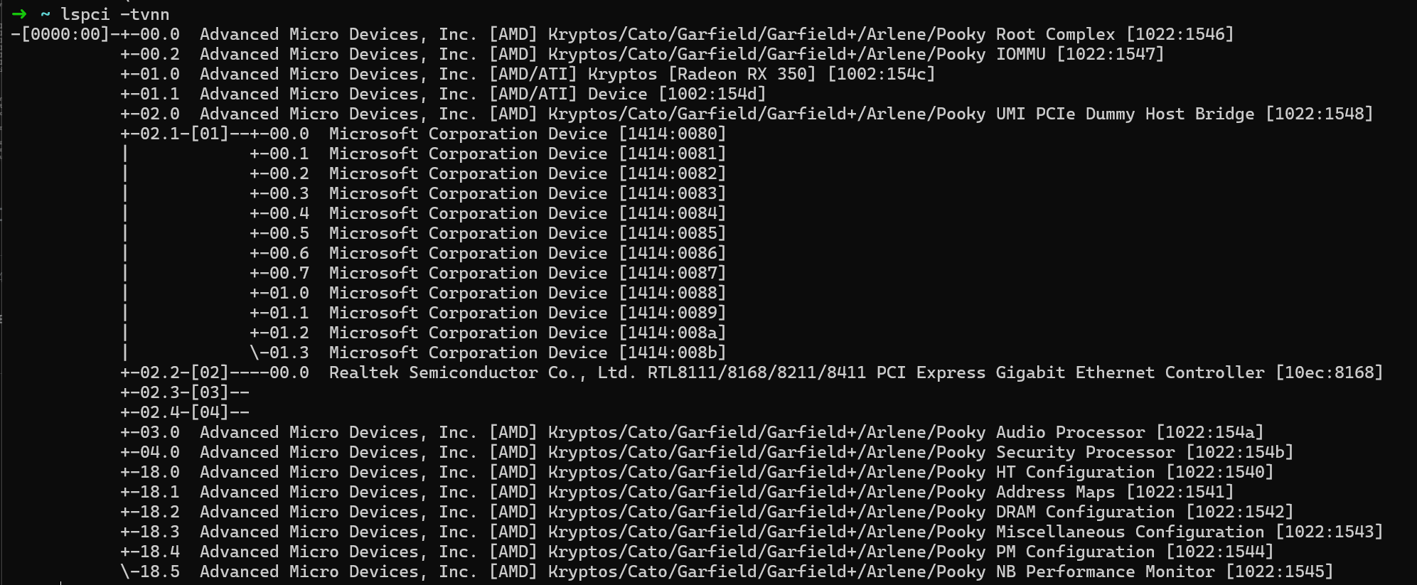 PCI 设备树:lspci -tvnn 枚举到的 AMD 设备、Realtek 网卡和多个 Microsoft 设备。